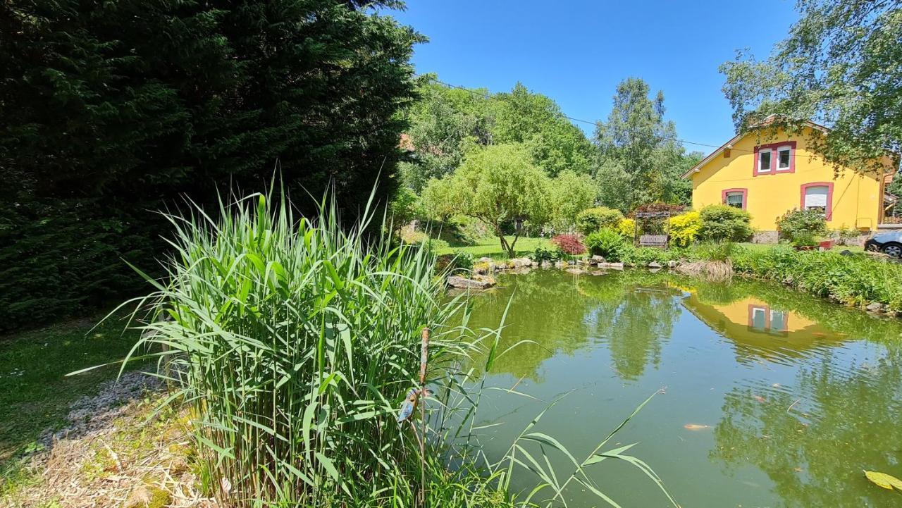 Hotel Domaine Des Graviers à Plainfaing Extérieur photo